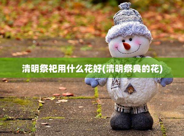 清明祭祀用什么花好(清明祭典的花)