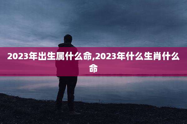 2023年出生属什么命,2023年什么生肖什么命