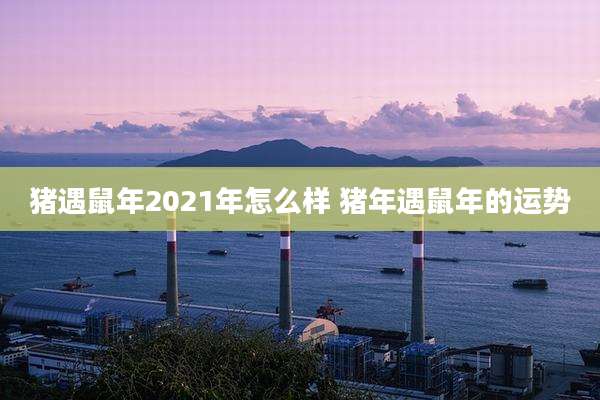 猪遇鼠年2021年怎么样 猪年遇鼠年的运势