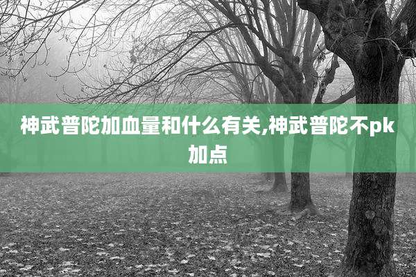 神武普陀加血量和什么有关,神武普陀不pk加点