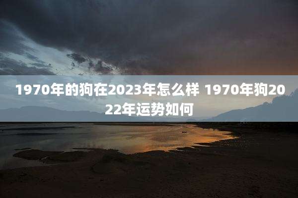 1970年的狗在2023年怎么样 1970年狗2022年运势如何