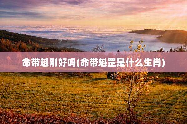 命带魁刚好吗(命带魁罡是什么生肖)