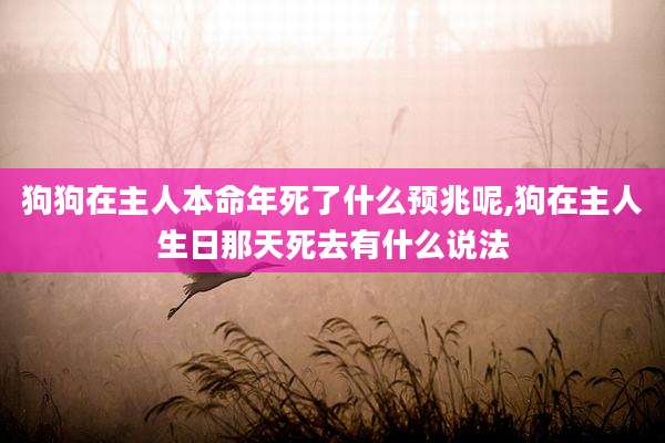 狗狗在主人本命年死了什么预兆呢,狗在主人生日那天死去有什么说法