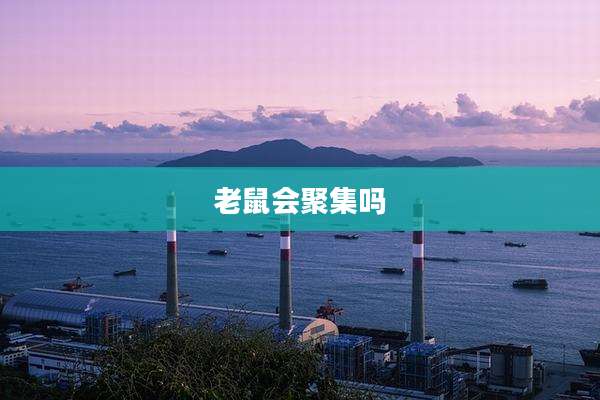 老鼠会聚集吗