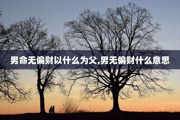 男命无偏财以什么为父,男无偏财什么意思