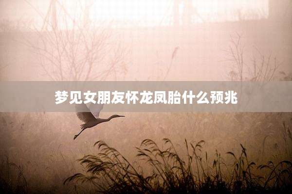 梦见女朋友怀龙凤胎什么预兆