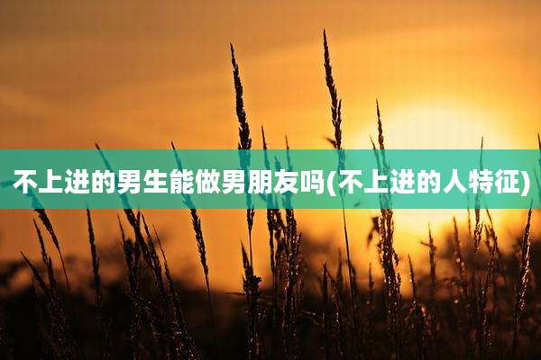 不上进的男生能做男朋友吗(不上进的人特征)