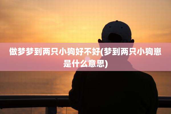 做梦梦到两只小狗好不好(梦到两只小狗崽是什么意思)