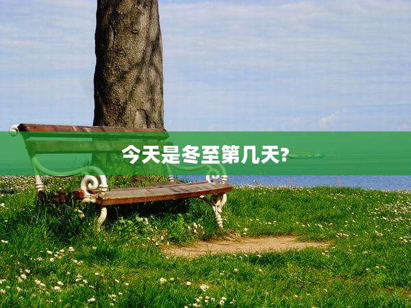今天是冬至第几天?