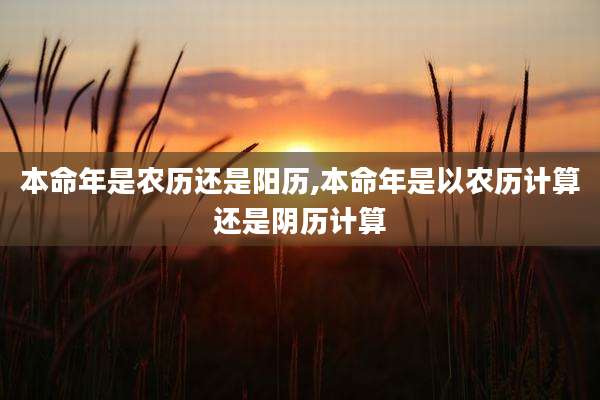 本命年是农历还是阳历,本命年是以农历计算还是阴历计算