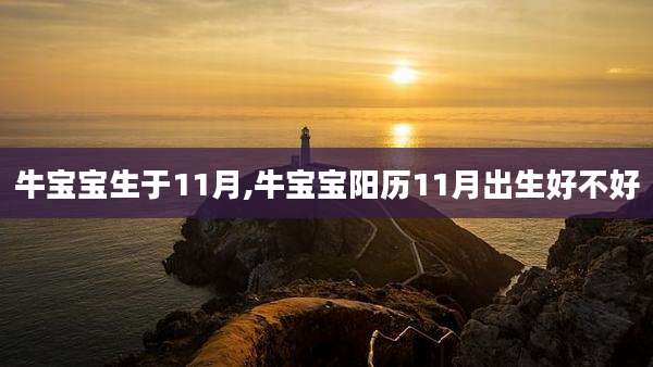 牛宝宝生于11月,牛宝宝阳历11月出生好不好
