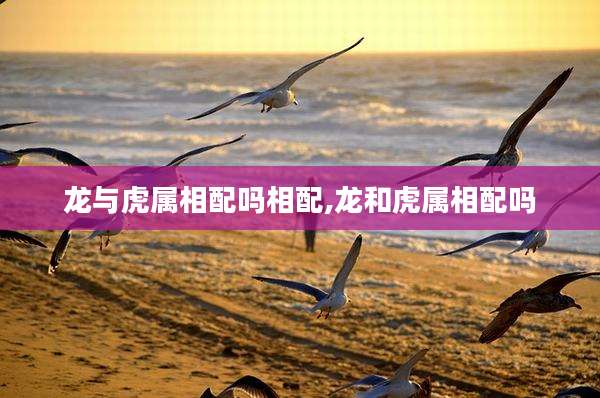龙与虎属相配吗相配,龙和虎属相配吗