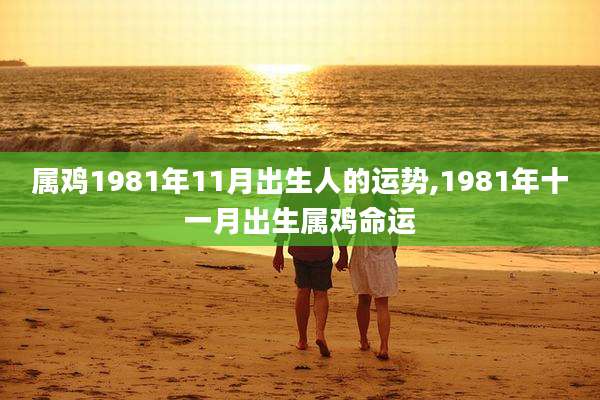 属鸡1981年11月出生人的运势,1981年十一月出生属鸡命运