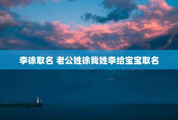 李徐取名 老公姓徐我姓李给宝宝取名