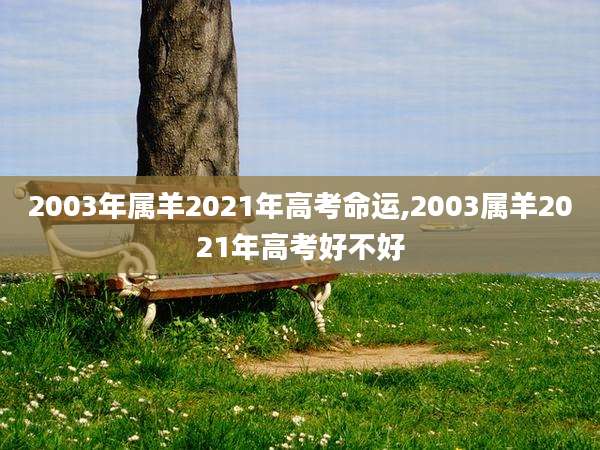 2003年属羊2021年高考命运,2003属羊2021年高考好不好