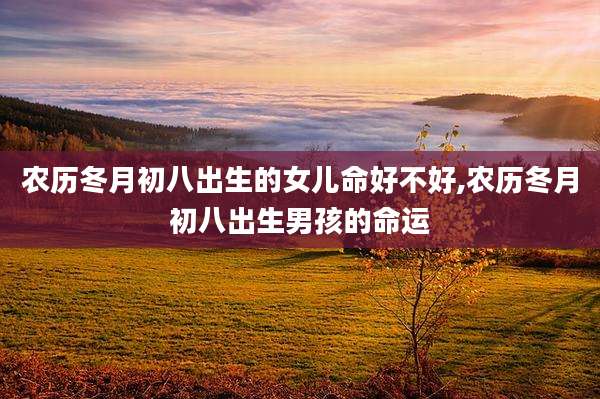 农历冬月初八出生的女儿命好不好,农历冬月初八出生男孩的命运