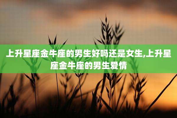 上升星座金牛座的男生好吗还是女生,上升星座金牛座的男生爱情
