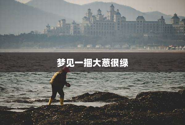 梦见一捆大葱很绿