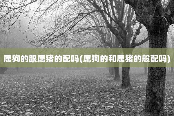 属狗的跟属猪的配吗(属狗的和属猪的般配吗)