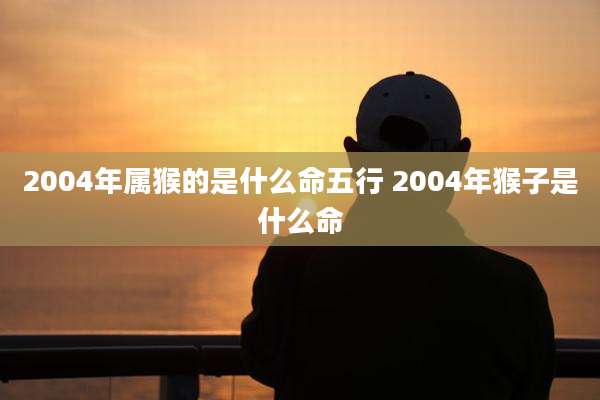 2004年属猴的是什么命五行 2004年猴子是什么命
