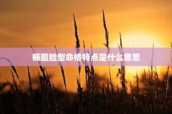 椭圆脸型命格特点是什么意思