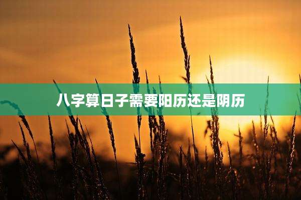 八字算日子需要阳历还是阴历