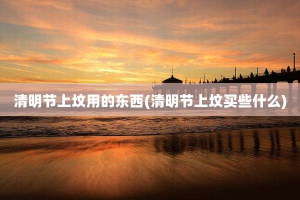 清明节上坟用的东西(清明节上坟买些什么)