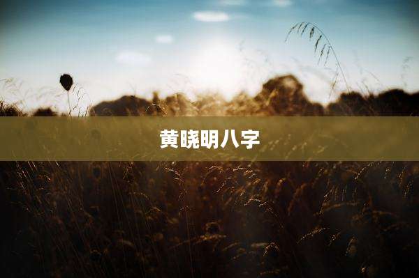 黄晓明八字