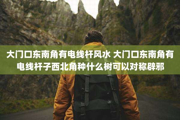 大门口东南角有电线杆风水 大门口东南角有电线杆子西北角种什么树可以对称辟邪
