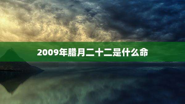 2009年腊月二十二是什么命