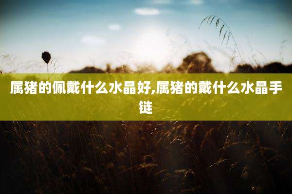 属猪的佩戴什么水晶好,属猪的戴什么水晶手链
