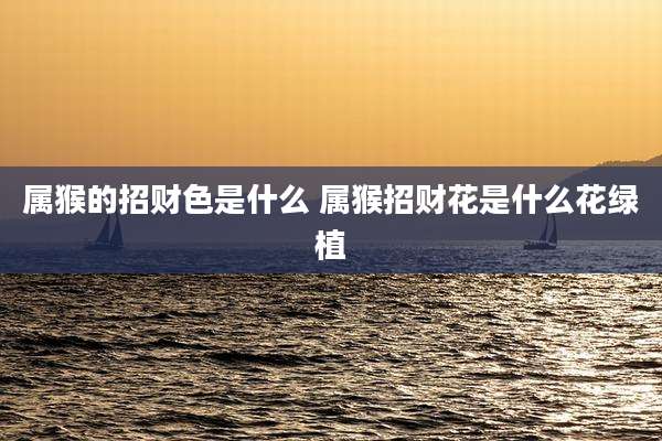属猴的招财色是什么 属猴招财花是什么花绿植