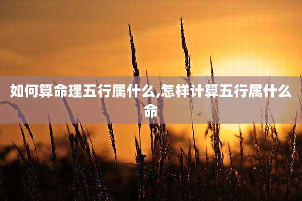 如何算命理五行属什么,怎样计算五行属什么命
