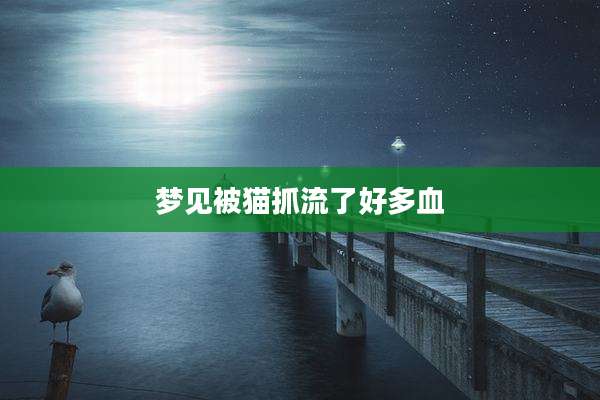 梦见被猫抓流了好多血