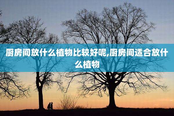 厨房间放什么植物比较好呢,厨房间适合放什么植物