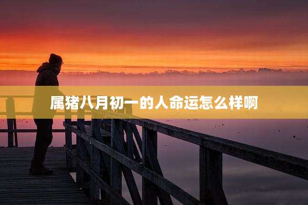 属猪八月初一的人命运怎么样啊