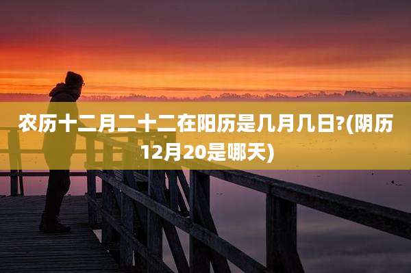 农历十二月二十二在阳历是几月几日?(阴历12月20是哪天)