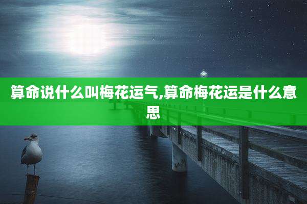 算命说什么叫梅花运气,算命梅花运是什么意思