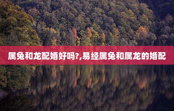 属兔和龙配婚好吗?,易经属兔和属龙的婚配