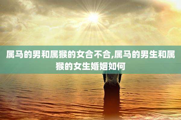 属马的男和属猴的女合不合,属马的男生和属猴的女生婚姻如何
