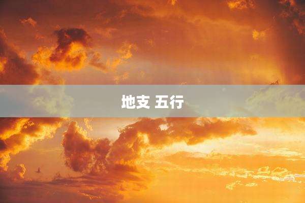 地支 五行