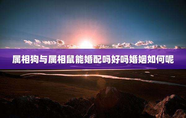 属相狗与属相鼠能婚配吗好吗婚姻如何呢