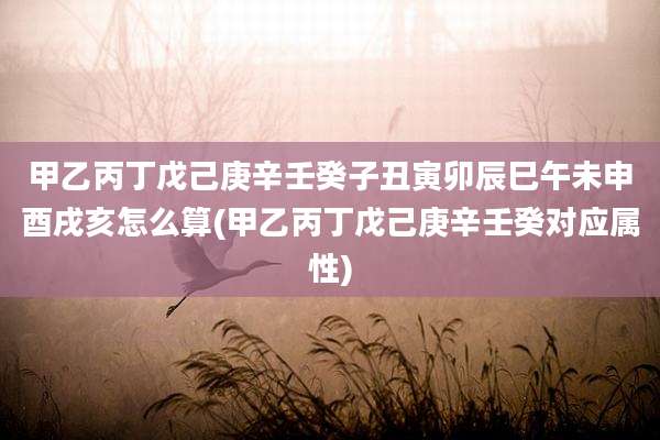 甲乙丙丁戊己庚辛壬癸子丑寅卯辰巳午未申酉戌亥怎么算(甲乙丙丁戊己庚辛壬癸对应属性)