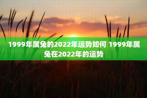 1999年属兔的2022年运势如何 1999年属兔在2022年的运势