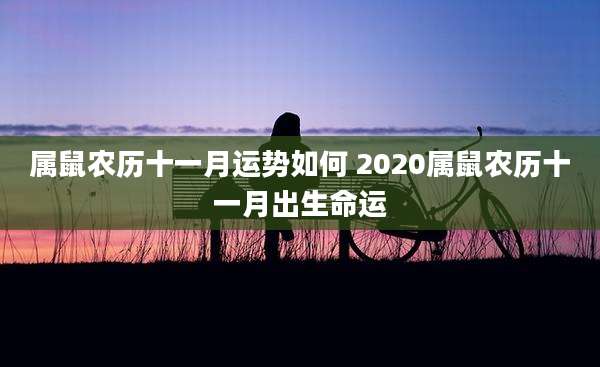 属鼠农历十一月运势如何 2020属鼠农历十一月出生命运