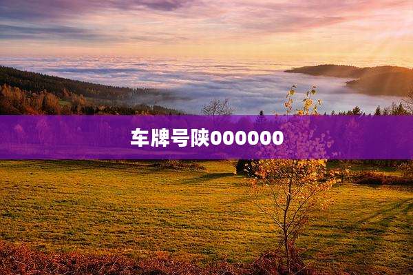 车牌号陕000000