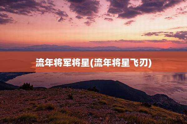 流年将军将星(流年将星飞刃)