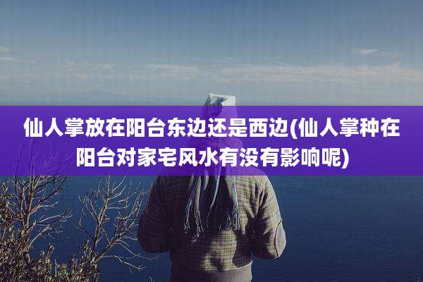 仙人掌放在阳台东边还是西边(仙人掌种在阳台对家宅风水有没有影响呢)