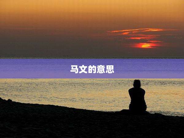 马文的意思