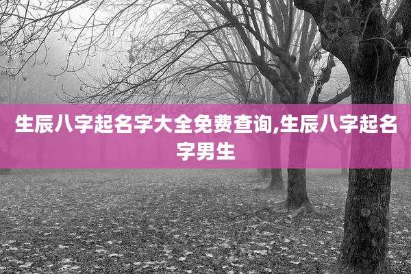 生辰八字起名字大全免费查询,生辰八字起名字男生